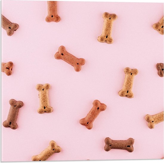 Acrylglas - Hondenkoekjes op Roze Achtergrond - 50x50cm Foto op Acrylglas (Met Ophangsysteem)