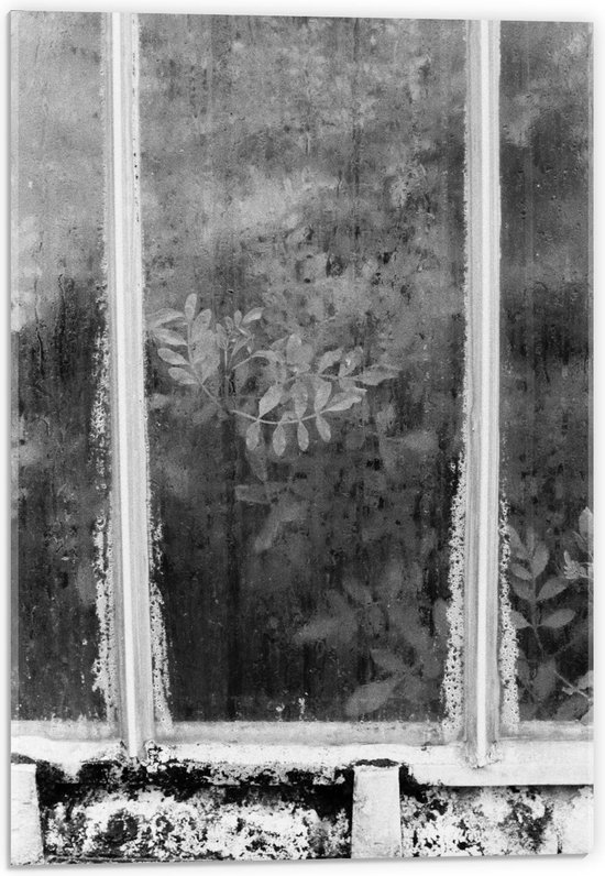 Acrylglas - Raam met Planten erachter in Zwart Wit - 40x60cm Foto op Acrylglas (Wanddecoratie op Acrylglas)