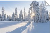 Kerstdorp achtergrond - 70x105 cm - pvc - winters bos - kerst poster - kerst decoratie - kerstversiering - winterlandschap - kerstinterieur - modeltreinen