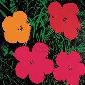 Andy Warhol - Flowers C, 1964 Kunstdruk 60x60cm