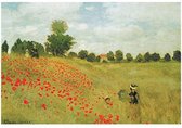 Claude Monet - Papaveri Kunstdruk 50x40cm
