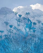 Fotobehang - Blue Sky 200x250cm - Vliesbehang