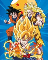 DRAGON BALL Z - Mini Poster 40X50 - 3 Gokus