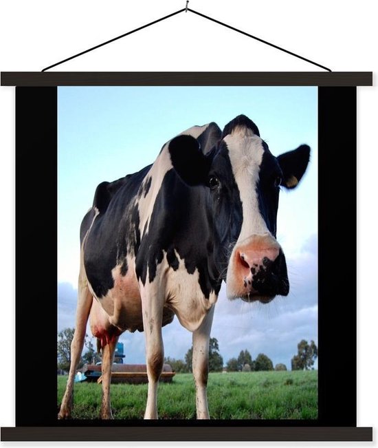 Une curieuse affiche d'école de vache frisonne à lattes plates noir 60x45 cm - Tirage photo sur affiche textielposter (décoration murale salon / chambre)