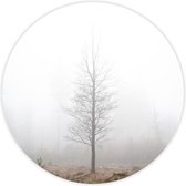 Behangcirkel Foggy Tree zelfklevend 90cm doorsnede | wandcirkel | muurcirkel | wooncirkel
