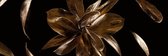 Golden flowers 200 x 66  - Dibond