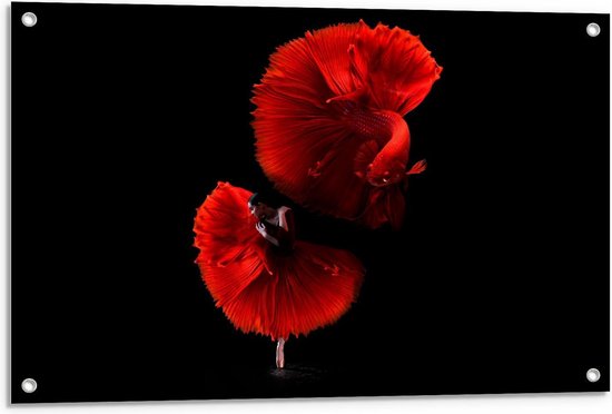 Tuinposter - Danseres met Rode Vis - Foto op Tuinposter (wanddecoratie voor buiten en binnen)