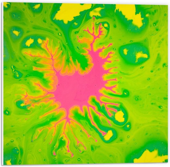 Forex - Roze Bacterievlek - 50x50cm Foto op Forex