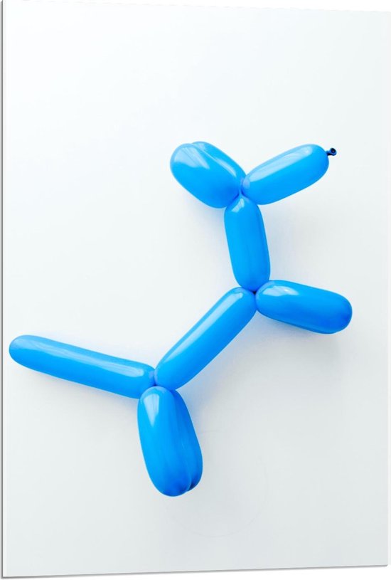 Acrylglas - Blauwe Geknoopte Ballon  - 60x90cm Foto op Acrylglas (Met Ophangsysteem)