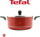 Tefal Tradition Aluminium Kookpan All Hobs - 24 cm