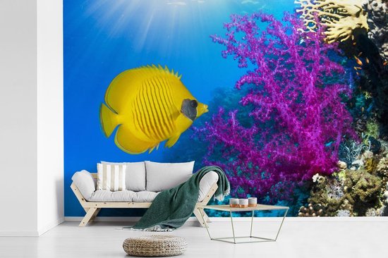 Papier peint Papier peint photo en vinyle - Un papillon corail jaune à côté d'un corail mou joliment coloré dans la mer Rouge largeur 390 cm x hauteur 260 cm - Tirage photo sur papier peint (disponible en 7 tailles)