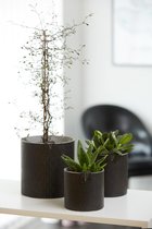 OOhh duurzame paper pot - Paris Cylinder zwart L