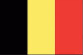 vlag Belgie 80x120cm