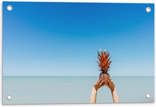 Tuinposter – Gouden Ananas in de Lucht  - 60x40cm Foto op Tuinposter  (wanddecoratie voor buiten en binnen)