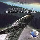 Sounds of Nature: Sounds and Songs of the Humpback Whale