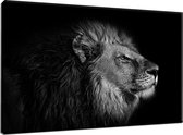 Braveprint - Schilderij - Leeuw Ii. Gedrukt % Katoen. Uitgerekt Frame. Muurhanger Geïnstalleerd - Zwart - 80 X 120 Cm