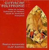 Gothic Polyphony / Olaf Raitzig, Musica Mensurata