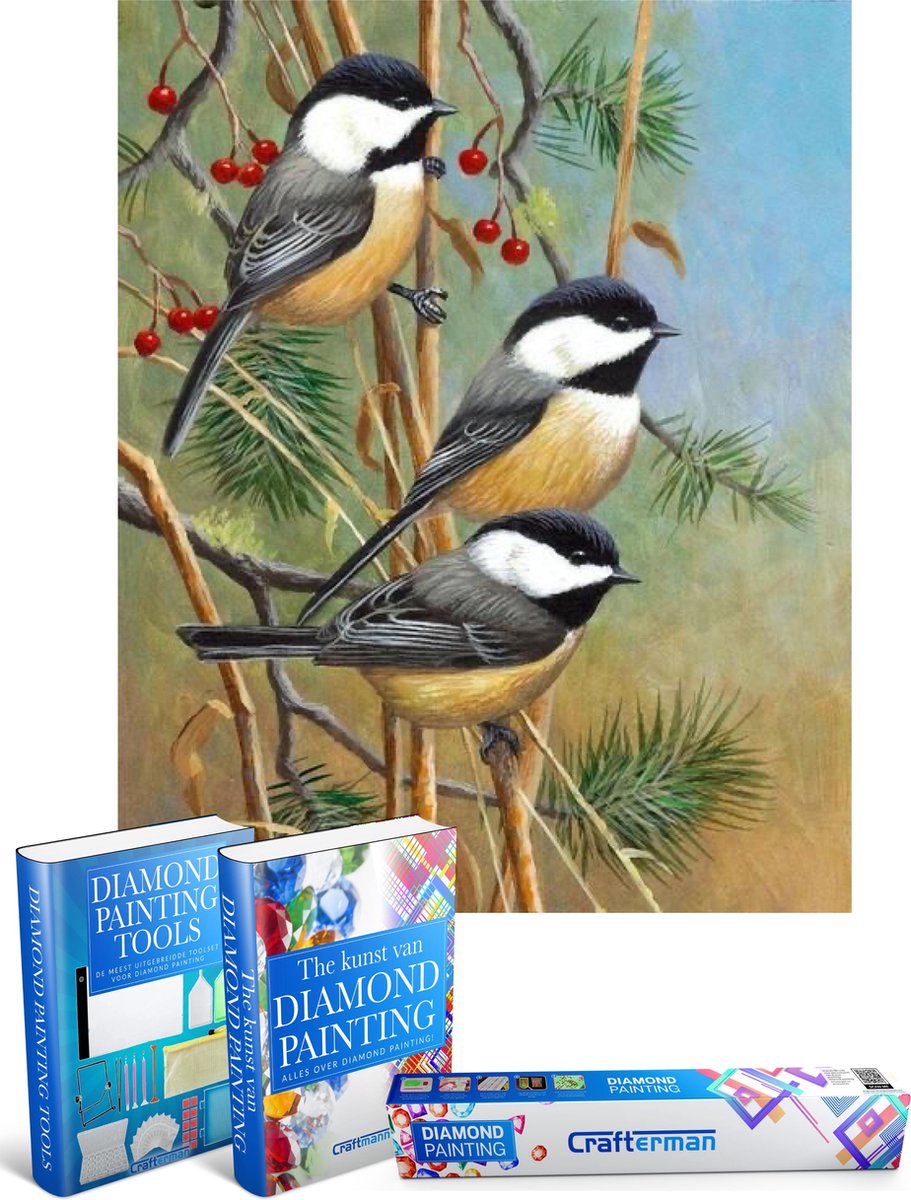 Crafterman™ Diamond Painting Pakket Volwassenen - Vogels op takjes met bessen - 30x40cm - volledige bedekking - vierkante steentjes - Met tijdelijk 2 E-Books