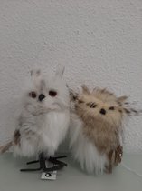 decoratieve uilen
