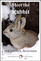 15-Minute Books - Meet the Rabbit: A 15-Minute Book for Early Readers
