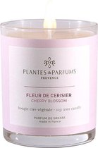 Plantes & Parfums Natuurlijke Cherry Blossom Sojawas Geurkaars (tevens handcrème) I Bloemige Geur I 180g I 40u