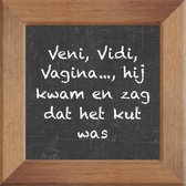 Wijsheden op krijtbord tegel over Sex met spreuk :Veni Vidi Vagina hij kwam en zag dat het kut was