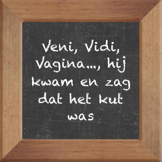 vrijdag Kan worden berekend lading Wijsheden op krijtbord tegel over Sex met spreuk :Veni Vidi Vagina hij kwam  en zag dat... | bol.com