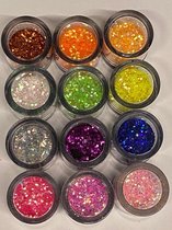 Nail Art - Nagel Glitters - Acryl - Gel - Gezicht - Ogen - Lippen - Lichaam - Diverse Kleuren - Set 12 Stuks x 10 ML