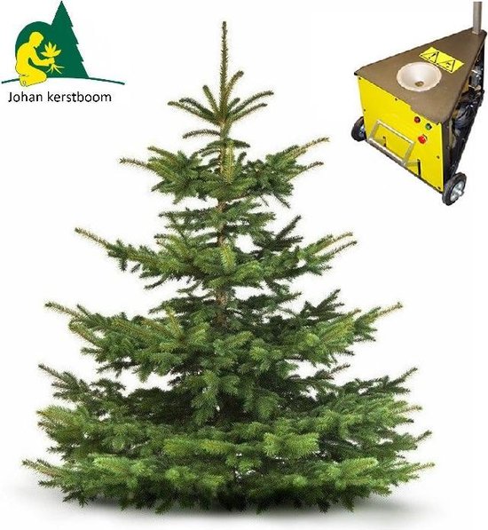 Kerstboom - gezaagd 150 - 175 cm - boorgat bol.com