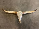 Longhoorn skull uit Bali - Longhoorn - Skull - Longhorn - Buffalo - Buffelschedel - Ibiza Skull - Muurdecoratie - Wanddecoratie - Bali - Wit - 150 cm