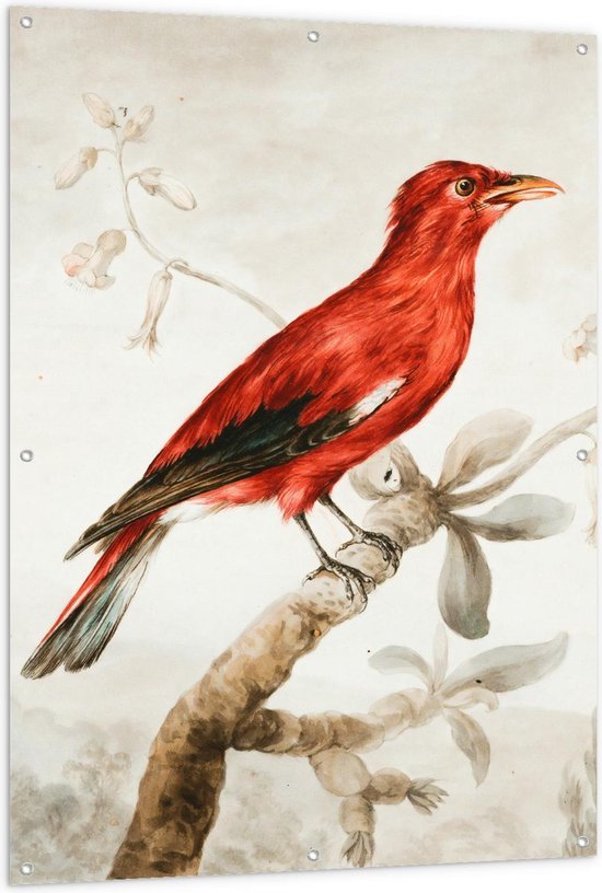 Tuinposter – Tekening Rood Vogeltje op Tak - 100x150cm Foto op Tuinposter  (wanddecoratie voor buiten en binnen)