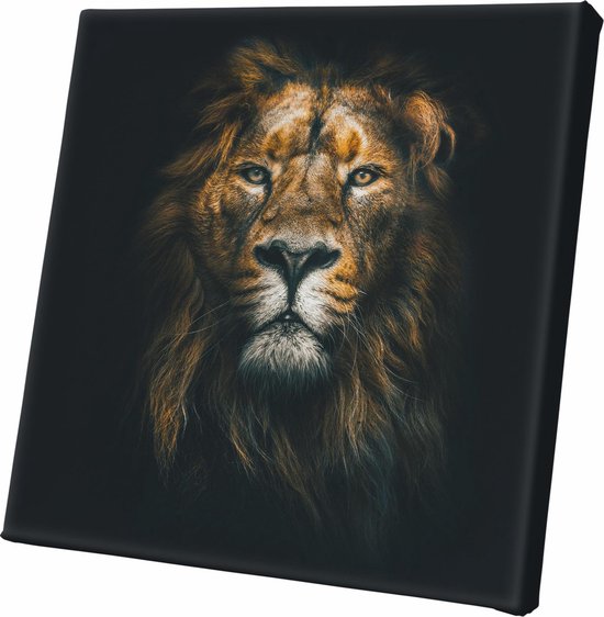 Canvasdoek - Tableau - Lion Lion Carré Sur Le Mur Nature - Zwart, Marron Et Or - 100 X 100 Cm