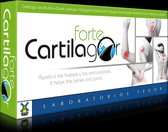 Tegor Cartilagor Forte 40 Caps