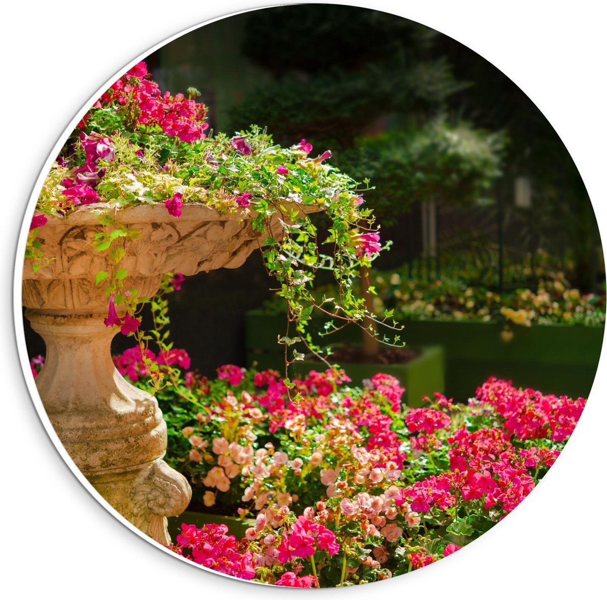 Forex Wandcirkel - Roze Bloemenstruik met Fontein - 20x20cm Foto op Wandcirkel (met ophang