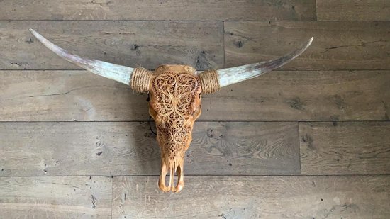 Longhoorn skull uit Bali - Longhoorn - Skull - Longhorn - Buffalo - Buffelschedel - Ibiza Skull - Muurdecoratie - Wanddecoratie - Sfeer - Decoratie - Bali - Cognac - 85 cm