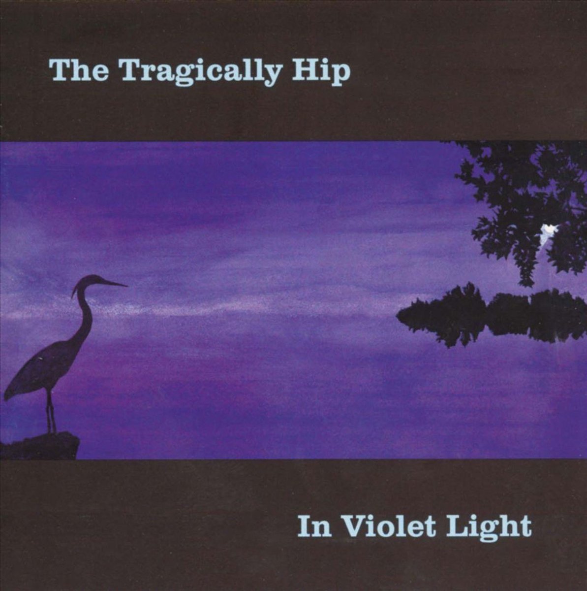 In Violet Light