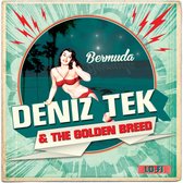 7-bermuda