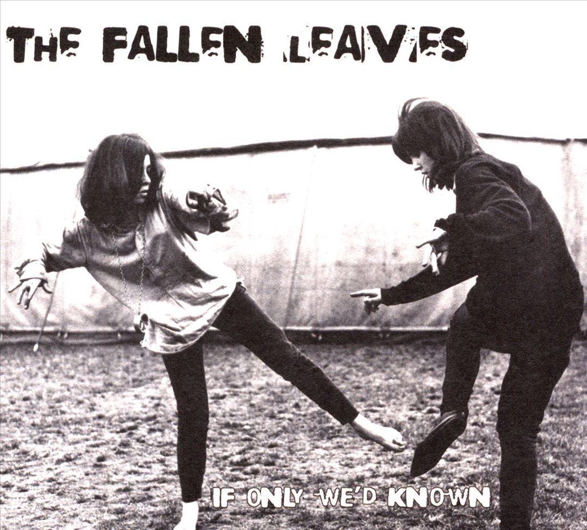 The Fallen Leaves - If Only We'd Known (CD)