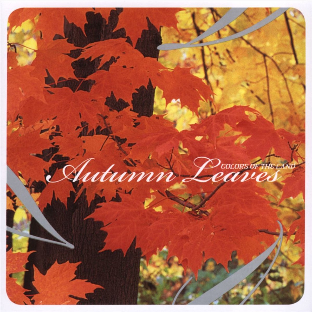 Autumn Leaves