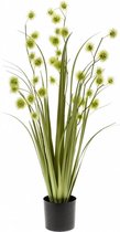 Grass Pompom - kunstplant