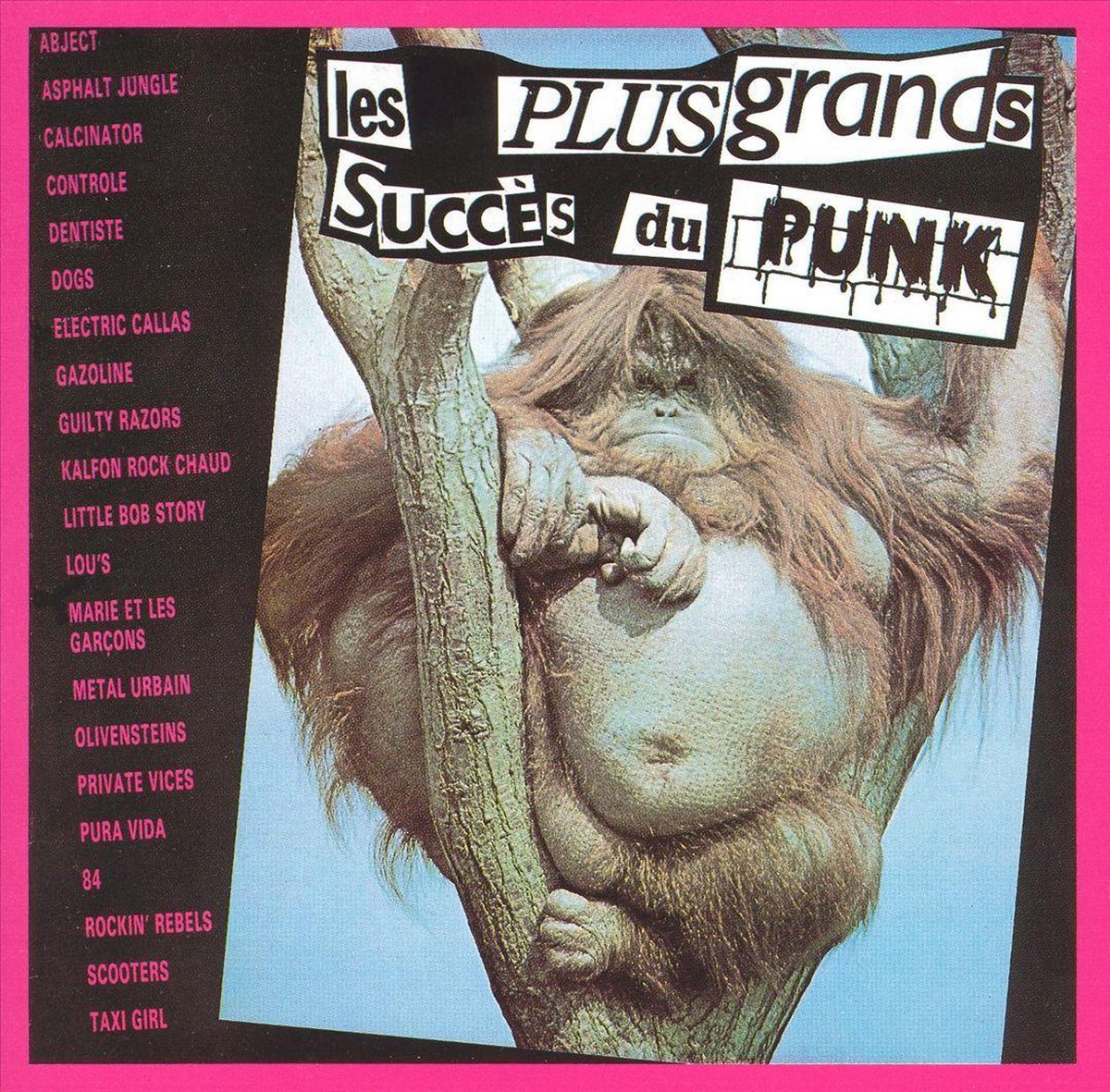 Plus Grands Succès du Punk - various artists