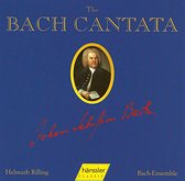 Bach Kantate, Vol. 43