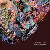 Matt Mitchell - A Pouting Grimace (CD)