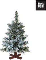 Black Box Trees - Highwood kerstboom groen -  h45cm - Kerstbomen