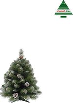 Triumph Tree - Empress kerstboom groen frosted TIPS 86 - h60xd46cm - Kerstbomen