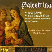 Palestrina Missa Brevis / Missa Lauda Sion / Sicut Servis / Super Flumina Babylonis