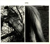 Susanna - Wild Dog (CD)