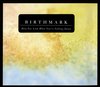 Birthmark - How You Look When You're Falling Do (CD)