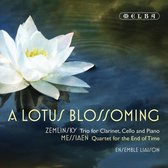A Lotus Blossoming