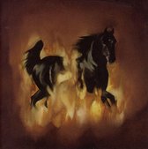 Besnard Lakes - Are The Dark Horse (CD)
